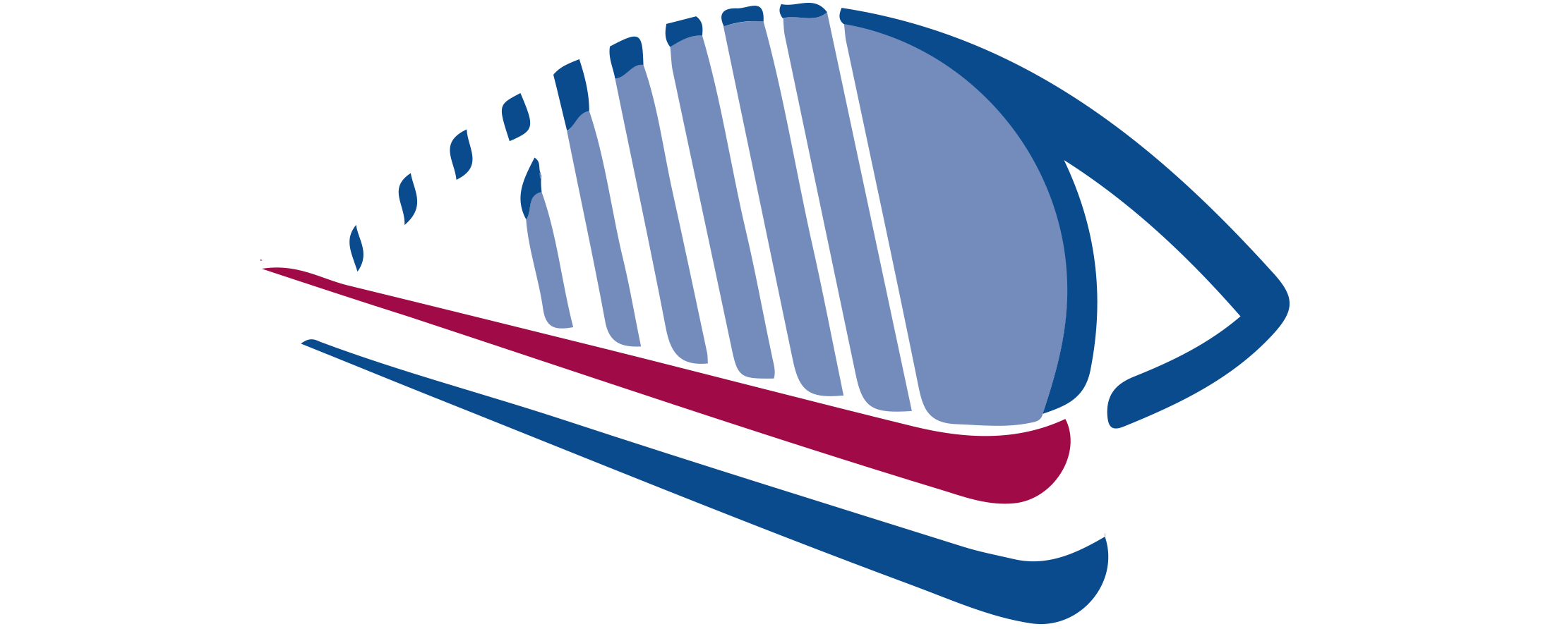 Nederlandse Visueel-gehandicapten Ski Vereniging Logo